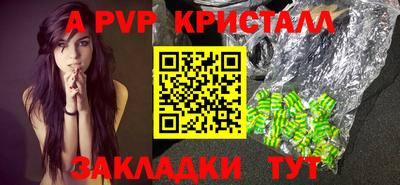 стафф Нальчик