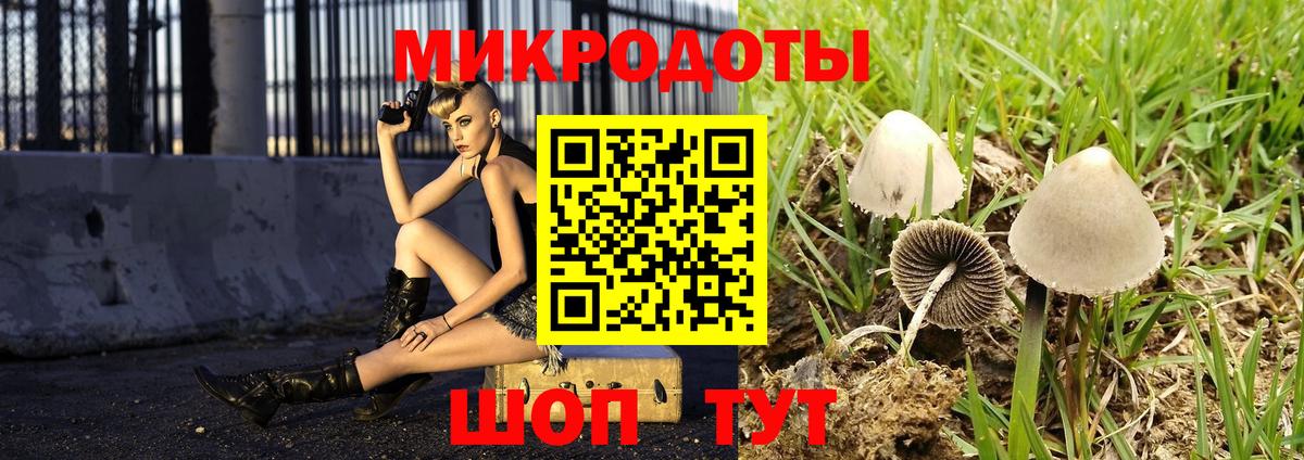Галлюциногенные грибы Cubensis  Галлюциногенные грибы ЛСД  Вход с VPN  Чернушка 